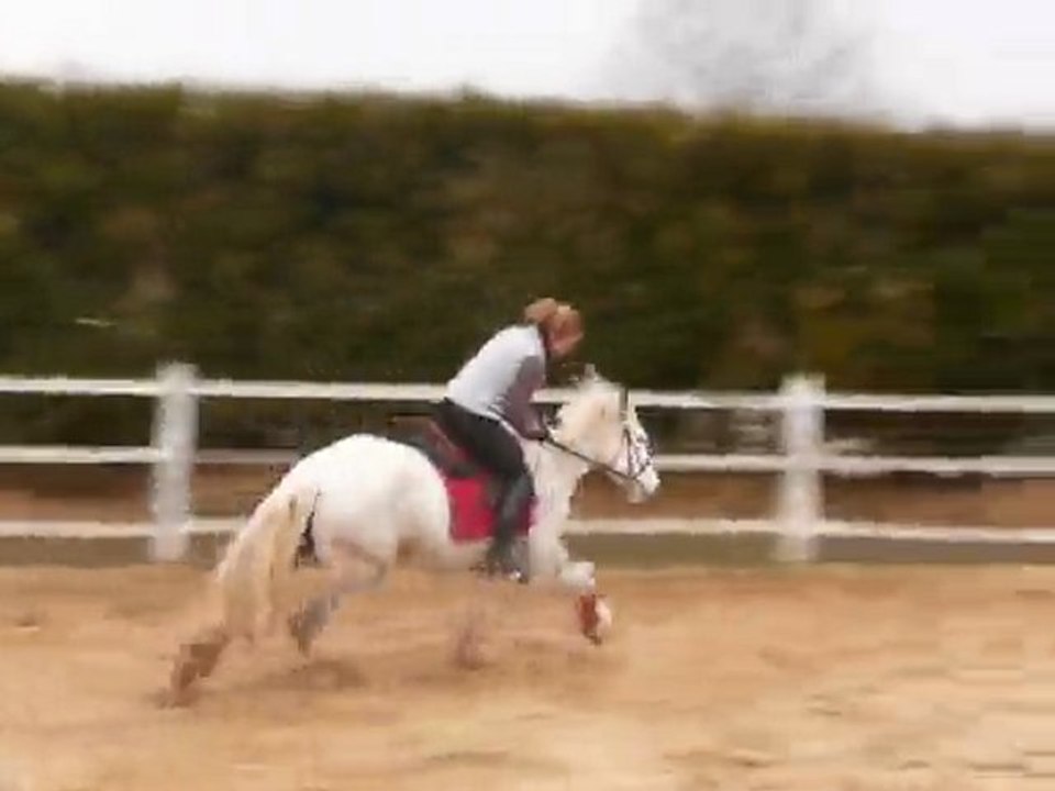 Ponette de CCE