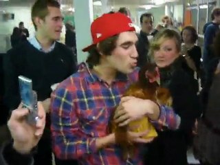 Anif Pouldu 06/03/10 Chiken gitan