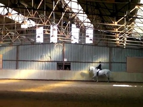 Concours Dressage - Laeti - Varennes Jarcy - 07-03-10