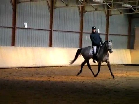 Concours Dressage - Amaury - Varennes Jarcy - 07-03-10