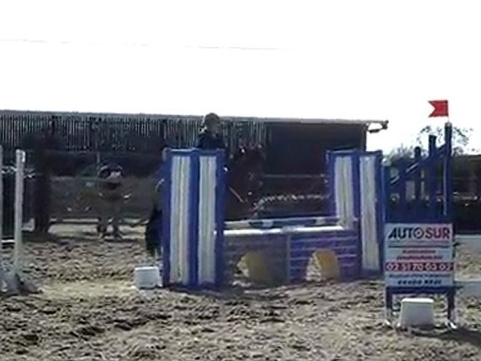SAM_0249