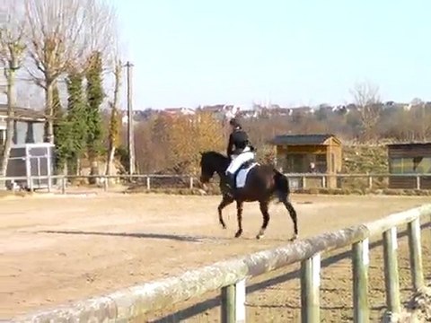 Concours Dressage - Sarah - Varennes Jarcy - 07-03-10