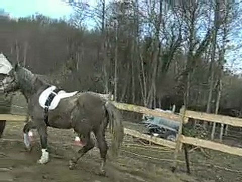 Umara Du Marais - début travail à pied mars 2010