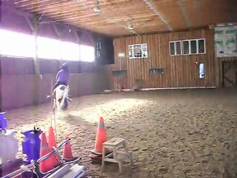 Tara au galop