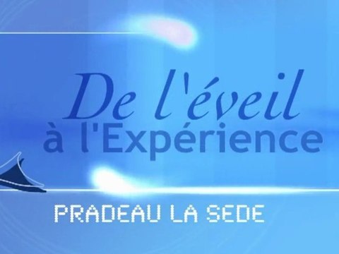 Ensemble scolaire PRADEAU LA SÈDE TARBES