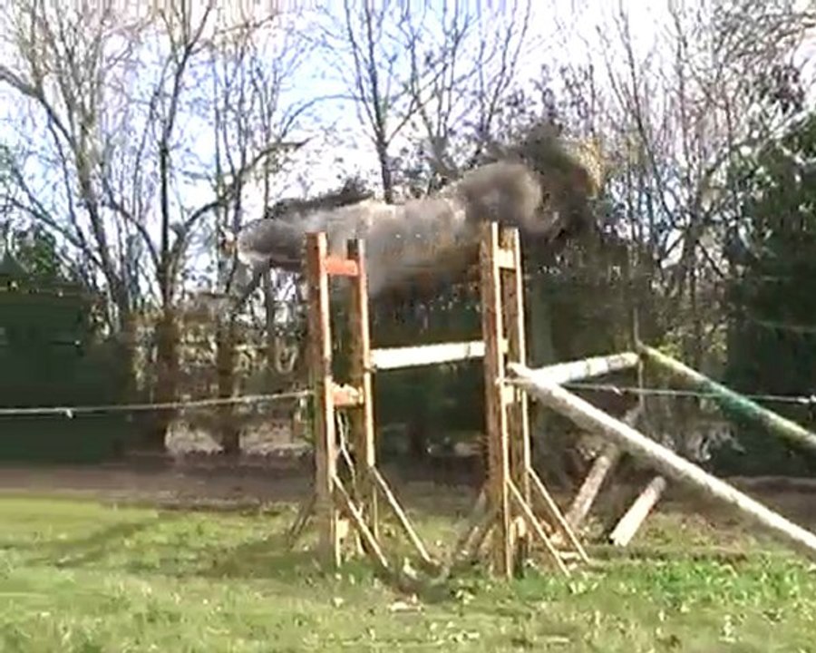 Sésame  d'Oréal Mars 2010