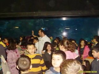 Dev-Akvaryum-Turkuazoo