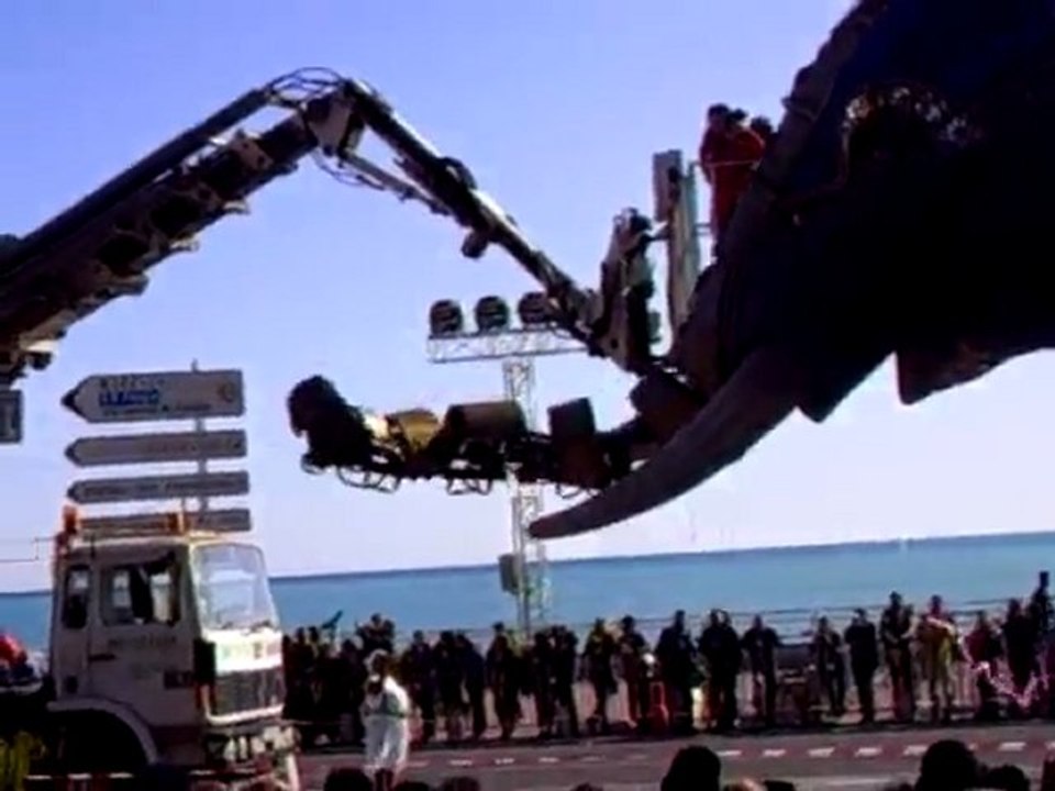 carnaval de nice bataille des fleurs mardi 24 fevrier 2010 b