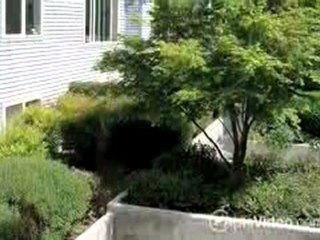 Ivy Ridge Apartments in Seattle, WA - ForRent.com