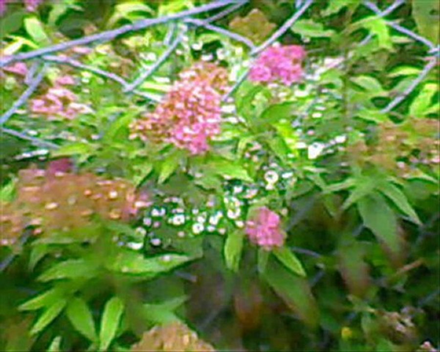 С днём 8 Марта!