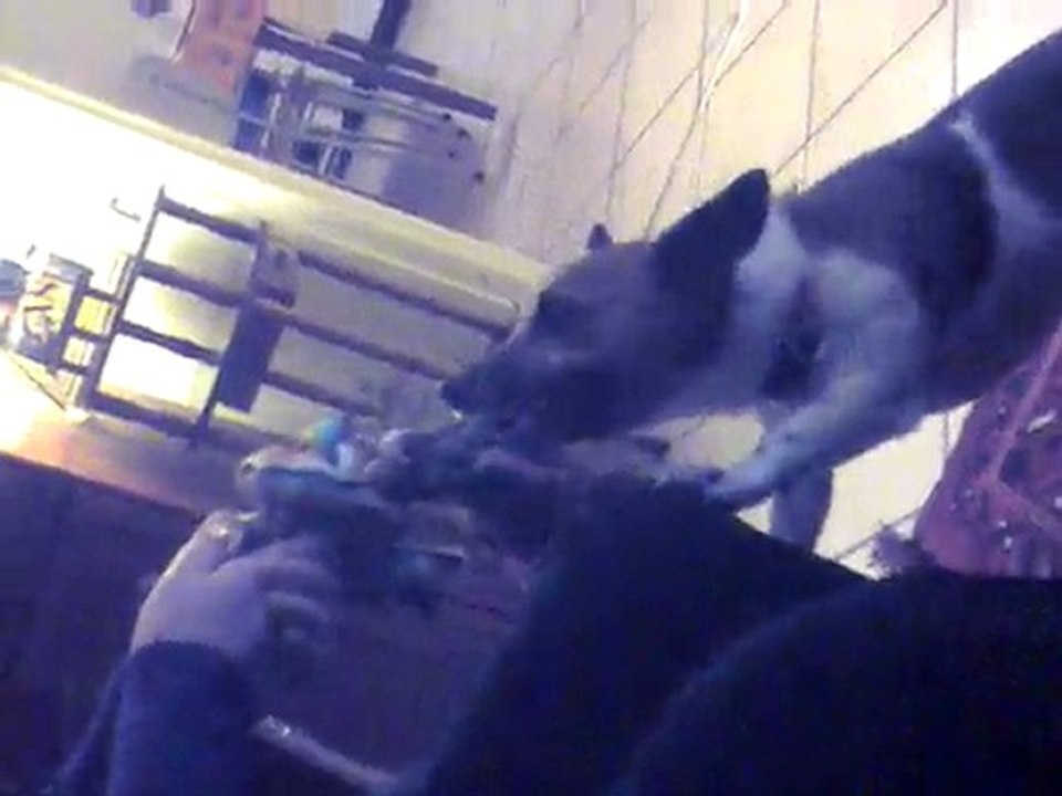 GRRR GRRR SUPER MACHOIRE NENETTE