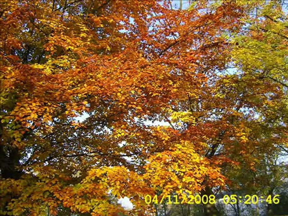 Outono-Duisburg-2008