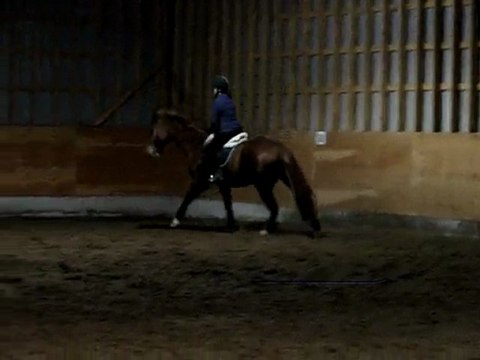 Arlington -1 4 mars 2010