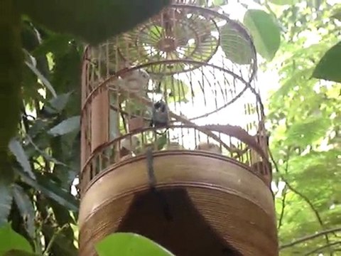 MOV00003-Segment1(00-00-00-00-00-58)