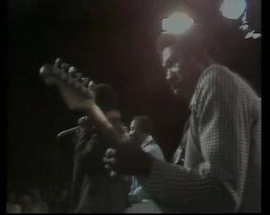 Muddy Waters - Mannish Boy