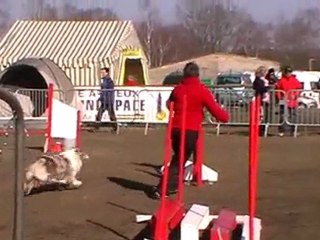 2ème degré abys Dreux