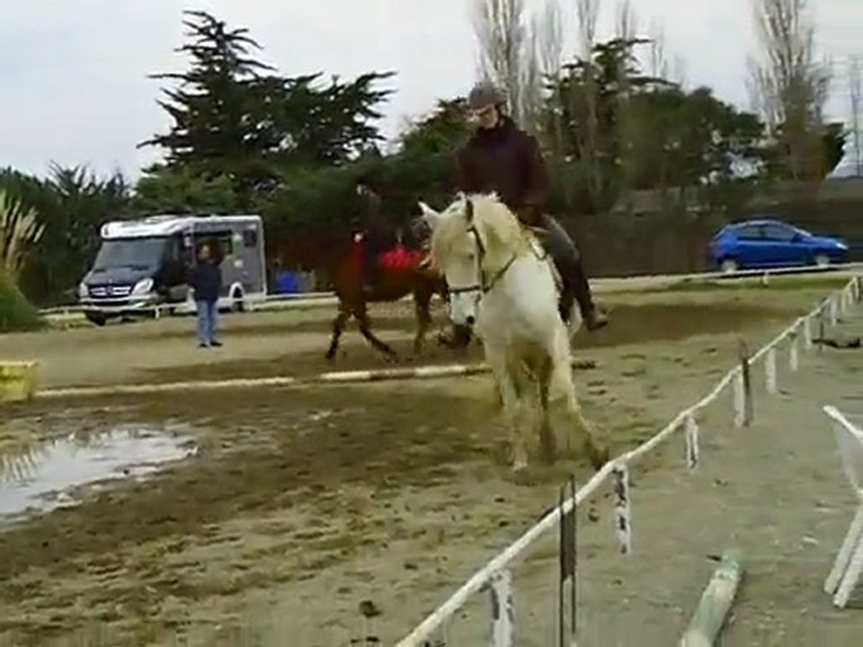 estrella