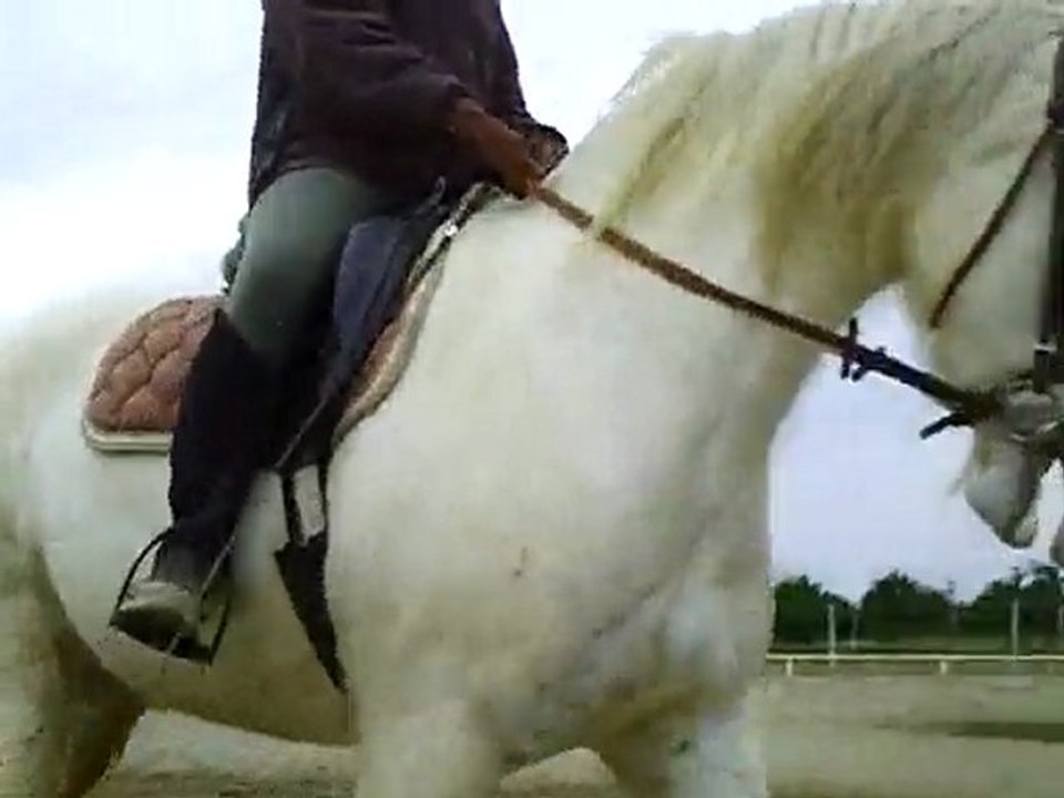 estrella