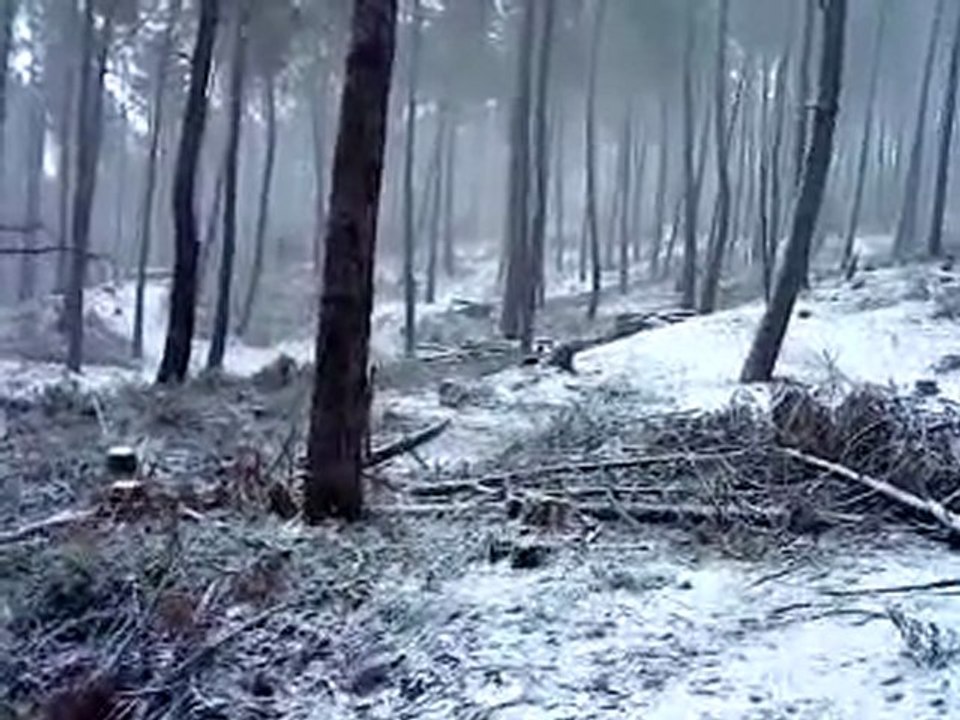 SOUS LA NEIGE