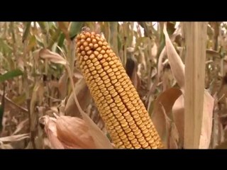 Poljoprivreda danas 08.03.2010.