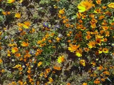 Весна, природа, пробуждение.