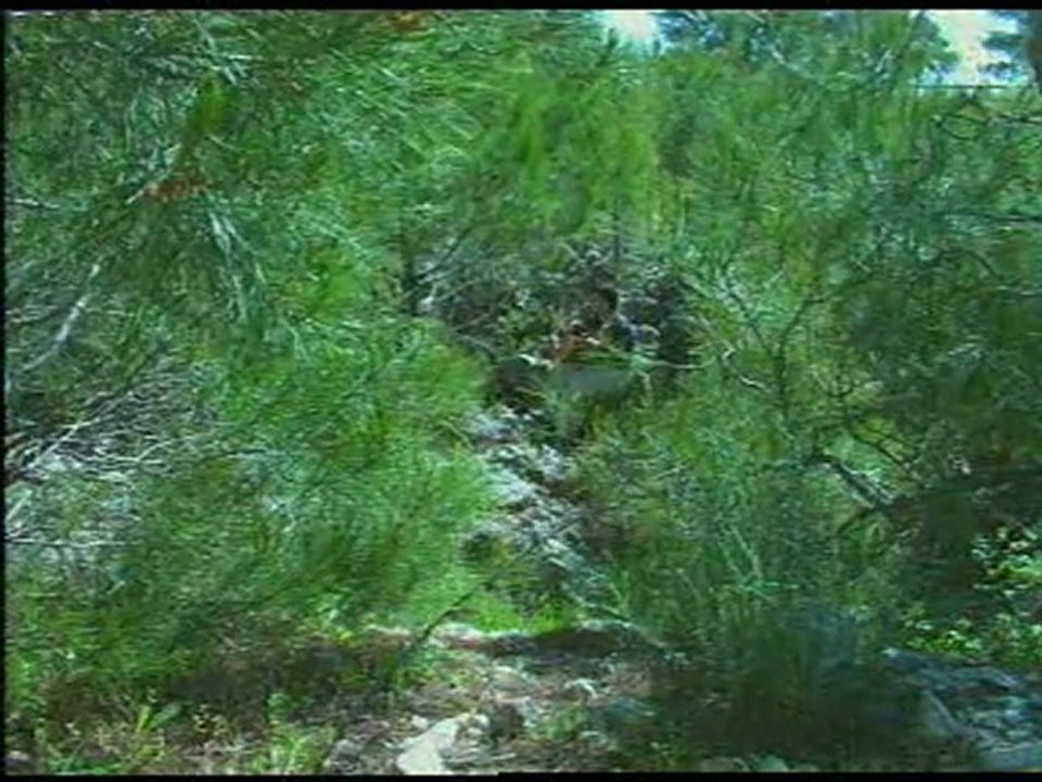 TANER OLGUN***ALAMIYAM YAR