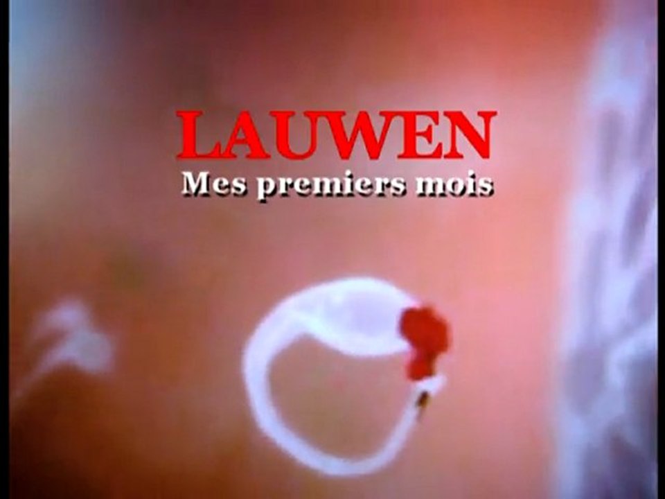 Lauwen, mes premiers mois