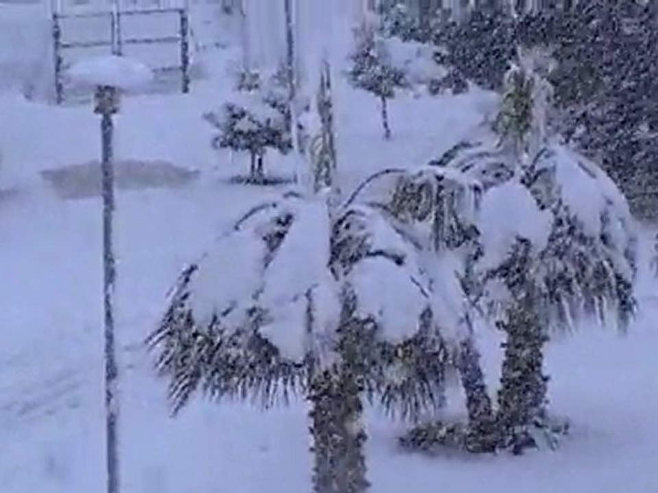 Perpignan sous la neige le 08.03.2010