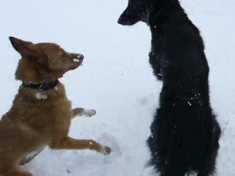 DSCF1351