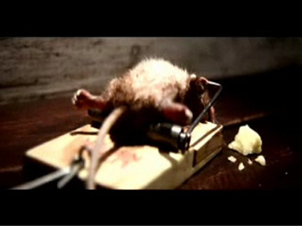 Ma petite souris