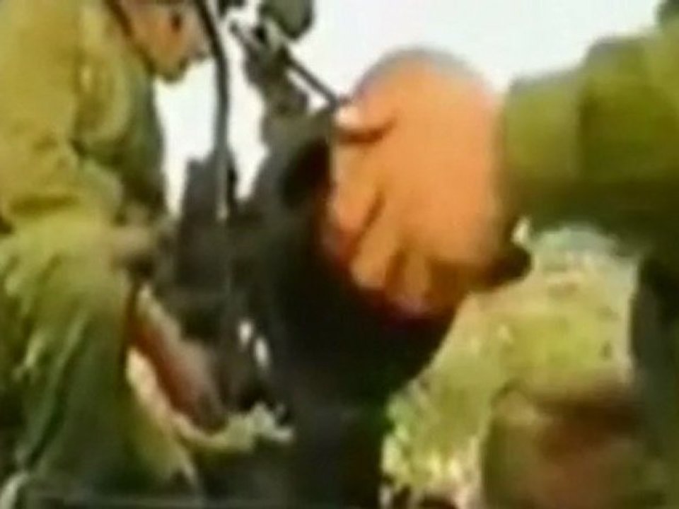 Lebanese Forces Bashir Gemayel