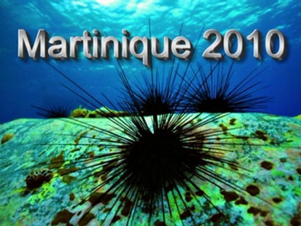 2010 02 Martinique photos