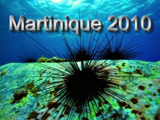 2010 02 Martinique photos