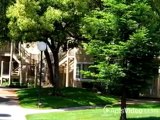 Monterey Village Apartments in Modesto, CA - ForRent.com