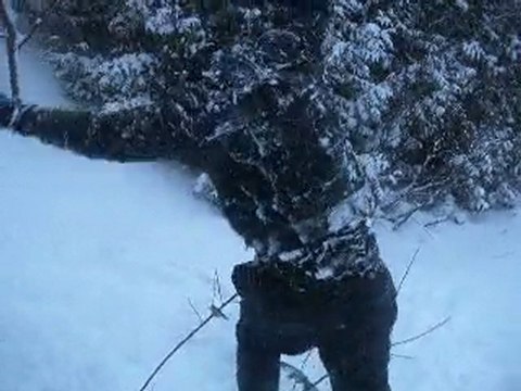 Tentatives de sauts echouées Canada 2010