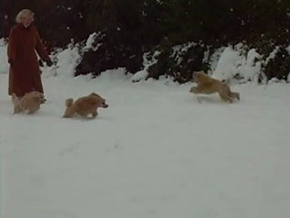 DSCN2054