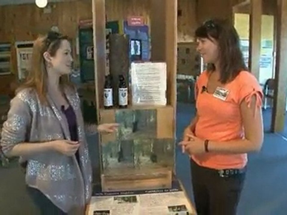 Banff to Jasper – one of the world’s most breathtaking drive