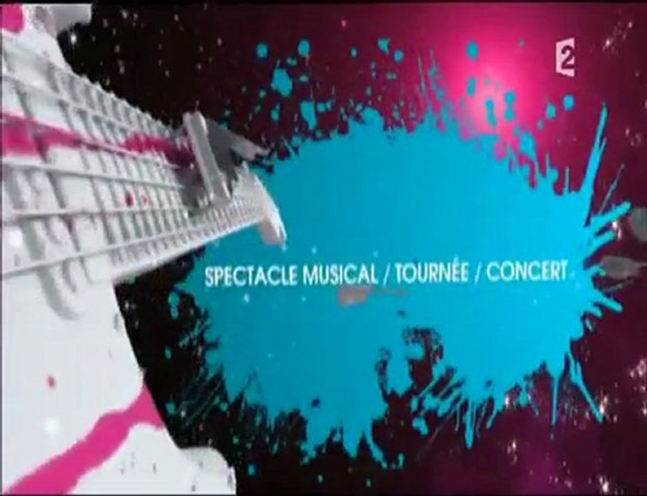 2010.TF1 spectacle musical  tournée66 Johnny Hallyday