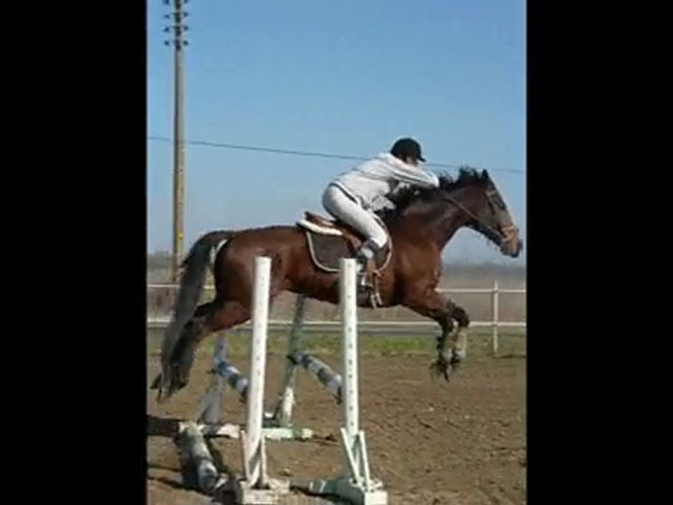 Apple Princess ♥
