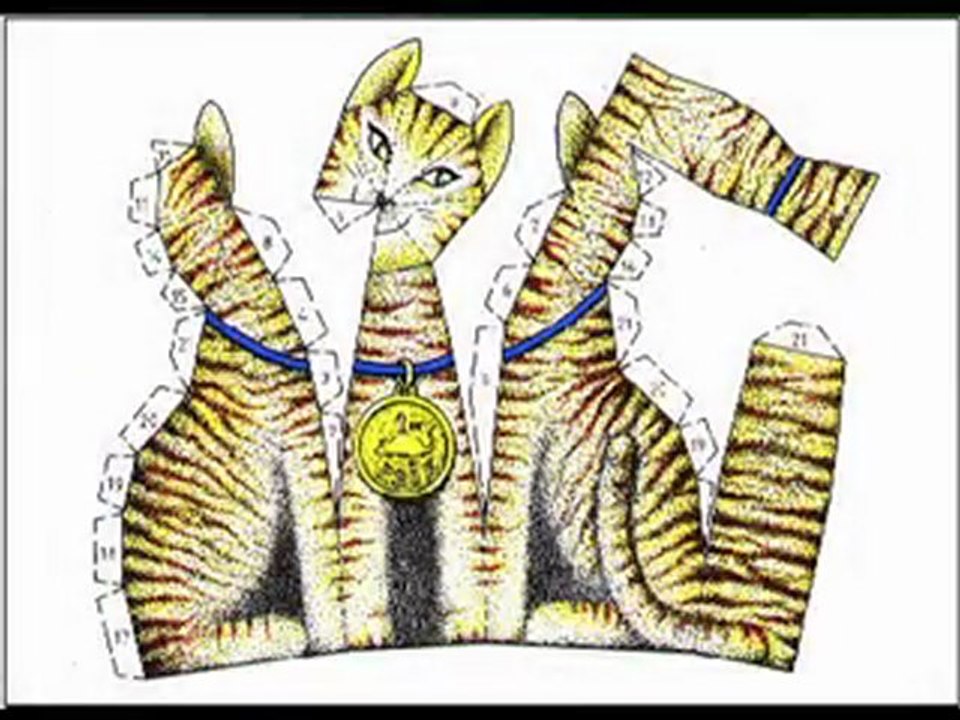 Carte postale : LE CHAT