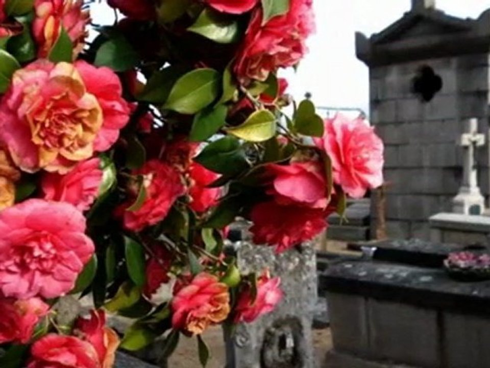 Mon amie la rose. Rita Tabbakh.