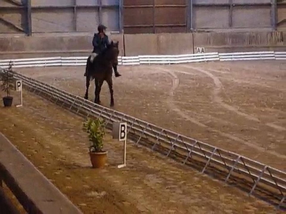 Dressage 7 mars 2010