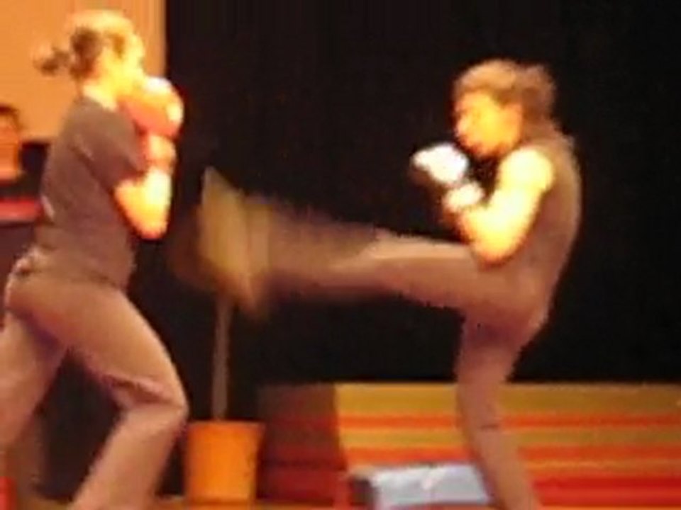 Nuit des Arts Martiaux Gemenos 2010