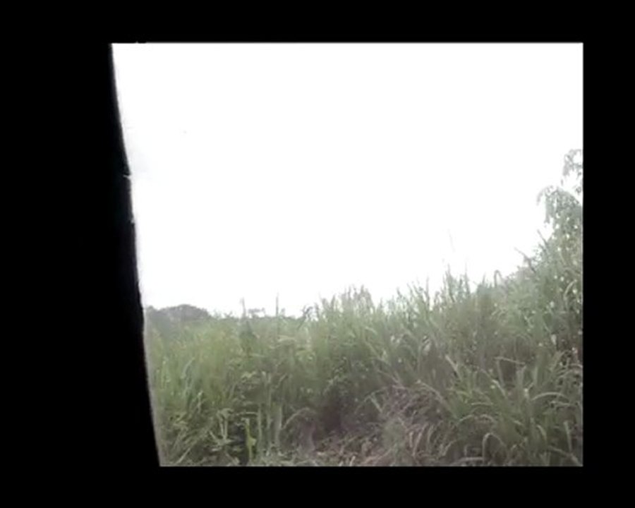 Viêt nam Train