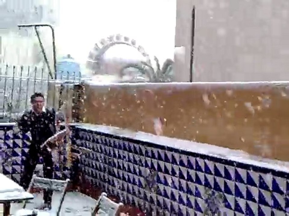 Pelea de bolas de nieve
