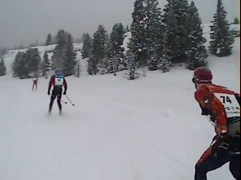 Traversée du Vercors 10 : fin du plateau, la forêt !