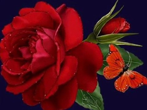 Caiernista RóżaWykomał Ryszard Szlagowski