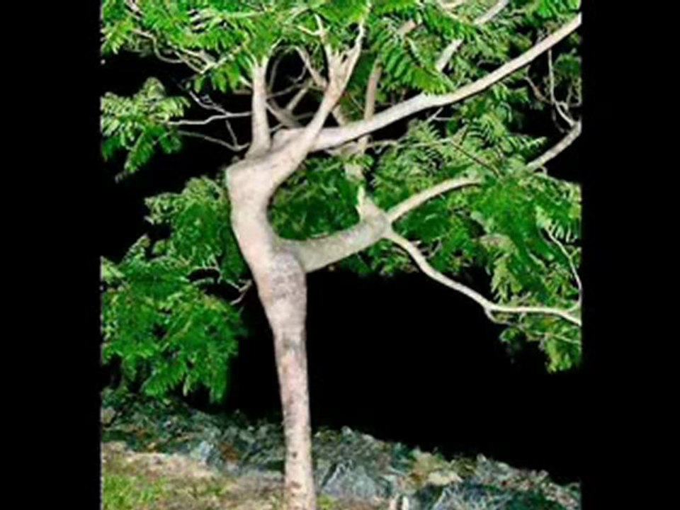 nature-sexe-http://www.mesfavorisites.com/