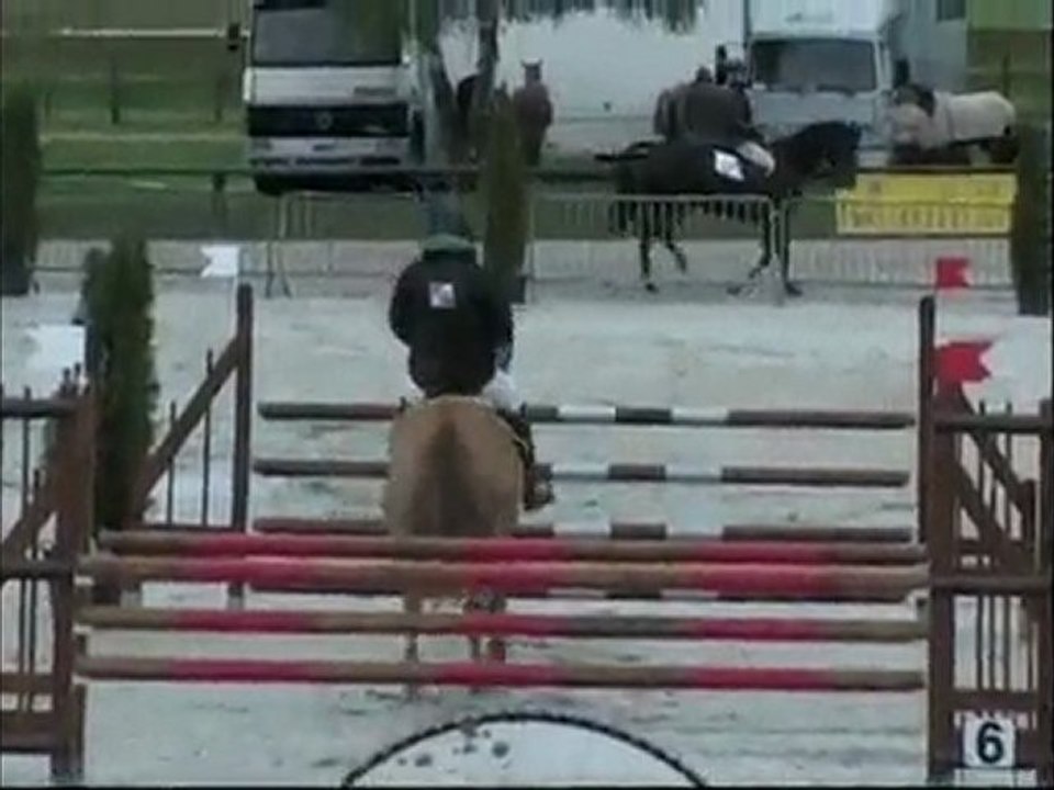 My Max de Malzieu Pau 9 novembre 2010