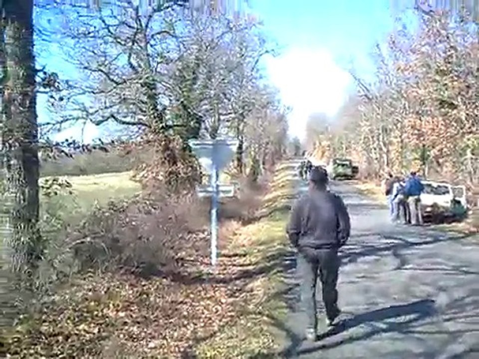 concours saint chels 2010 les 7 chiens